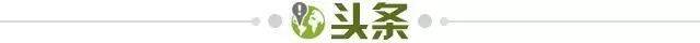 475fb6bb-a640-4195-b6ed-5621967ceaf4.jpg@!img01
