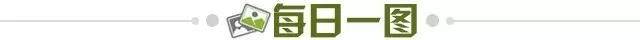 4c901b60-c586-4e65-ab76-a314949c2638.jpg@!img01